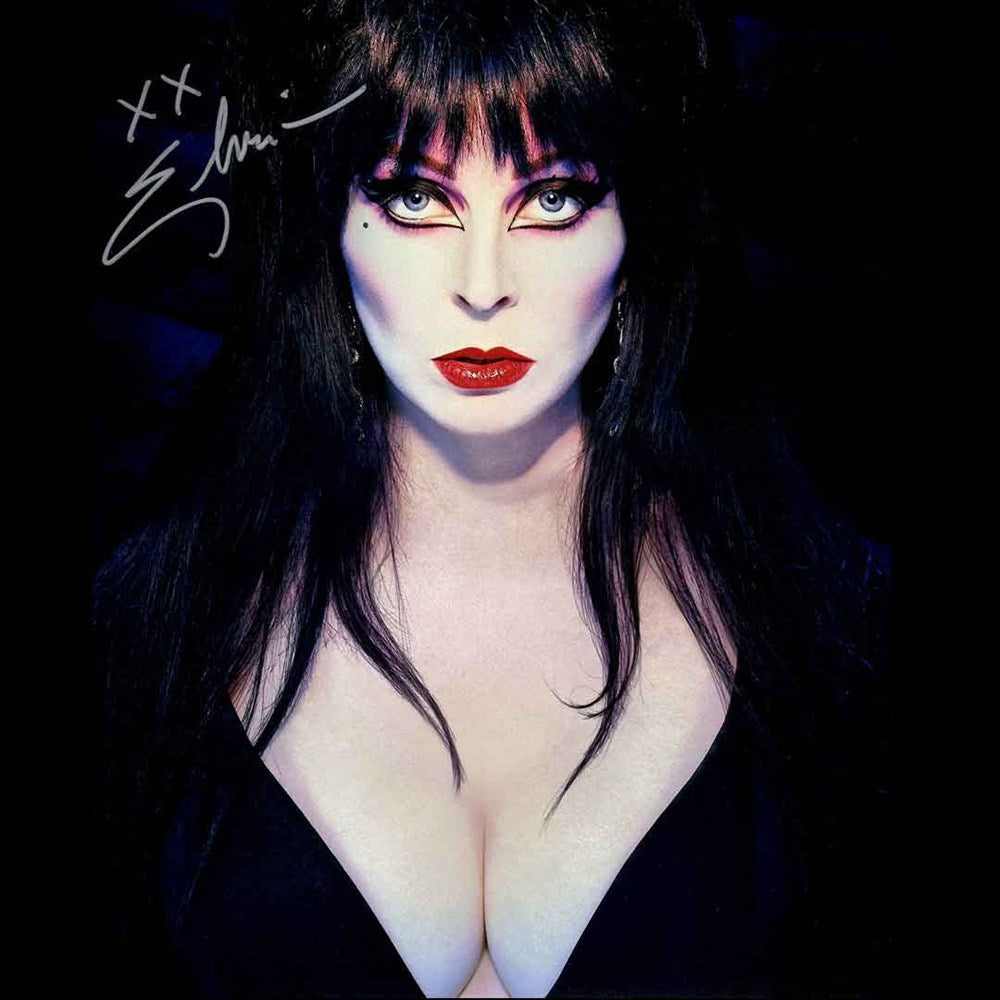 Elvira Autographed Mistress Of The Dark Photo