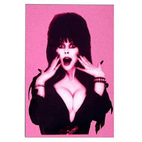 Elvira Pink Tone Magnet